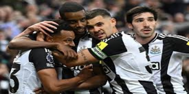 专家解读与赛季总结- bb体育