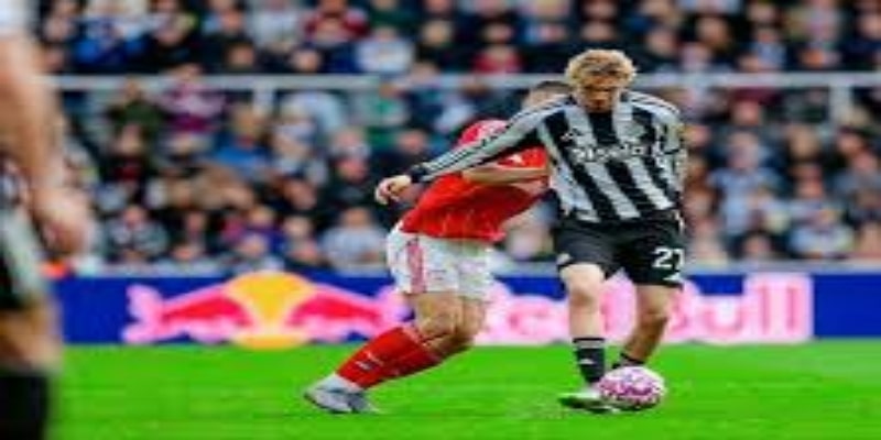 双轨成长：智慧与激情的完美融合- bb体育