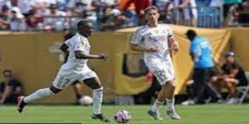 来展望与专家解析 — bb体育 联合视角-bb体育