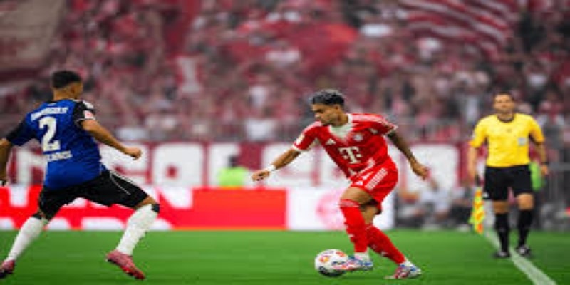 关键球员表现与数据亮点 -bb体育