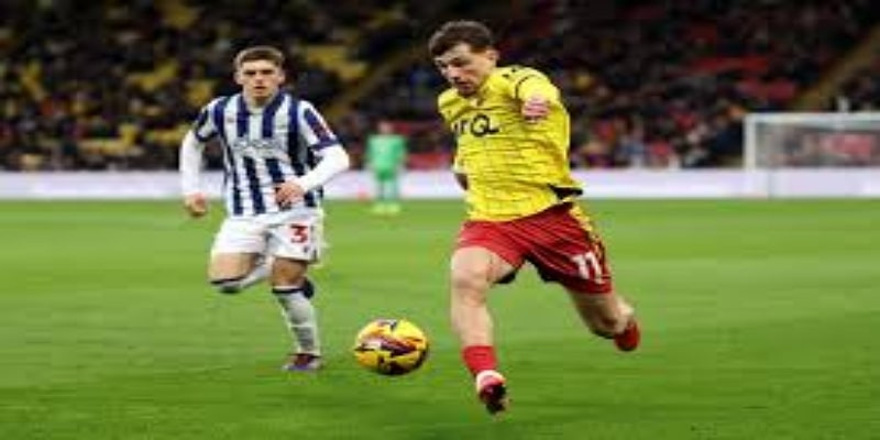 西布朗时代遗产与沃特福德战略 — bb体育