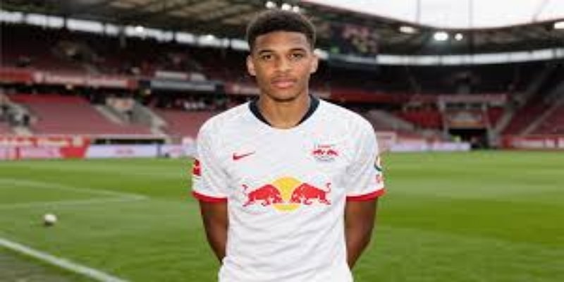 转会细节揭秘：道森为何成为沃特福德首选？ — bb体育