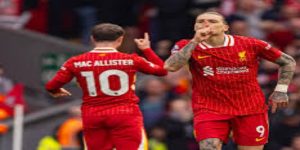 未来影响与展望- bb体育