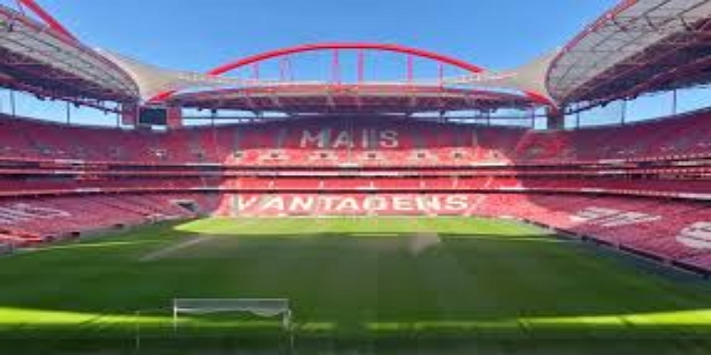 迟到的亮相：1378天等待背后的坚持- bb体育