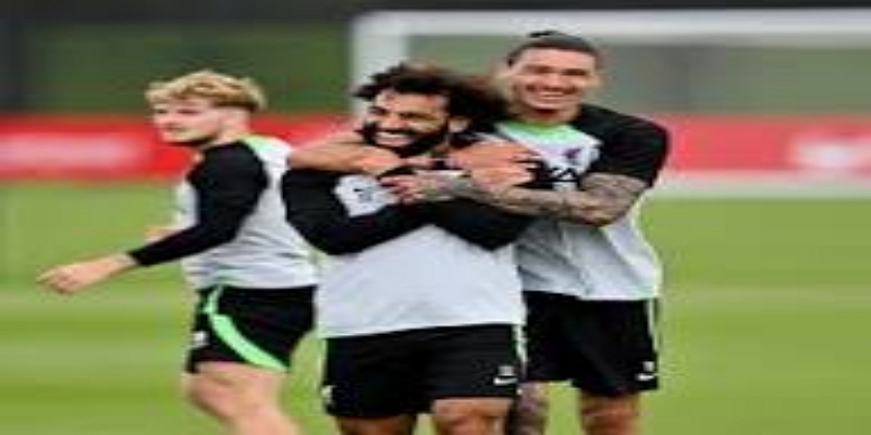 争冠前景与赛季展望-bb体育