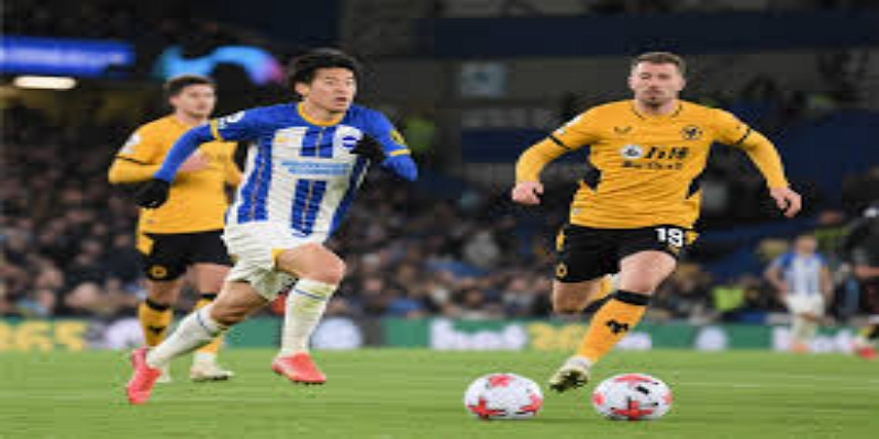 事件回顾：科茨言论与纪律处分全景-bb体育