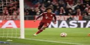 对未来的影响与启示：制度优化与言论自由-bb体育