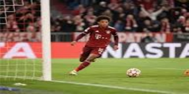 对未来的影响与启示：制度优化与言论自由-bb体育