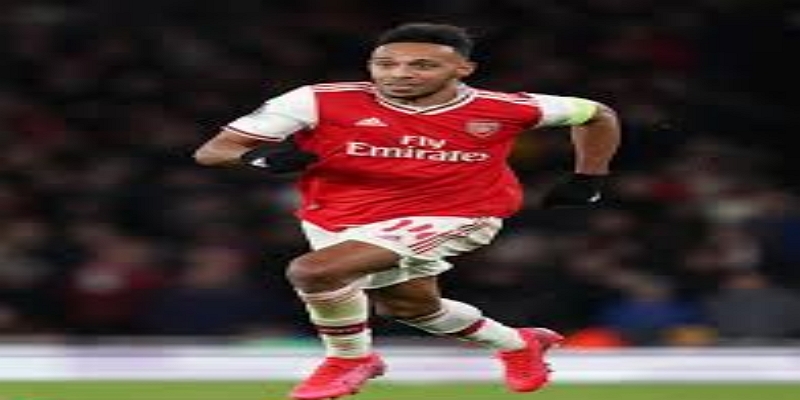 温格时刻：全场致敬与情感高潮-bb体育