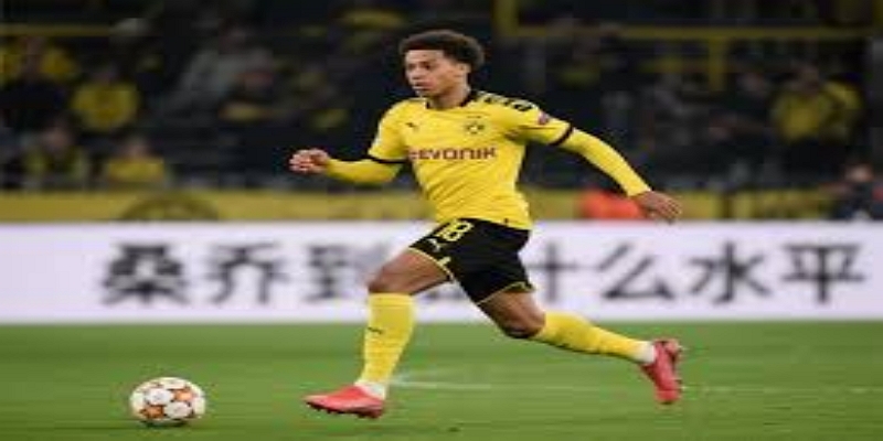 青春风暴：三狮军团的年轻血液传统-bb体育