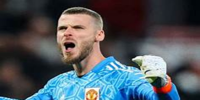 bb体育转会分析：紧急引援还是长期布局的开始？-bb体育